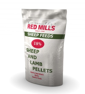 Protein Feeds for Ewes are important to support your ewe’s body condition for mating.  