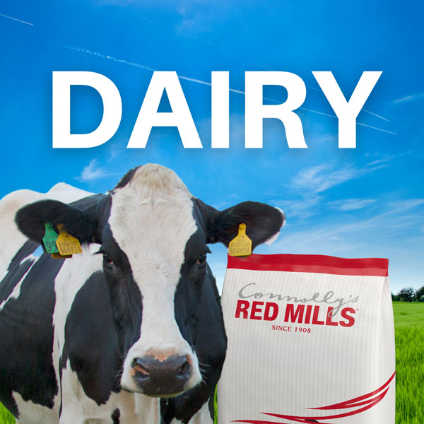 Connolly’s RED MILLS 18% Hi Energy Dairy Cube