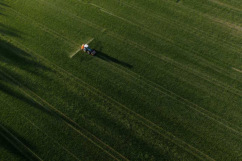 Best Practices for Managing Newly Reseeded Pastures for Weed Control