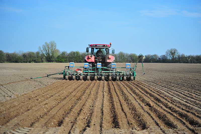 1. Identification of when a pasture or grassland needs reseeding 