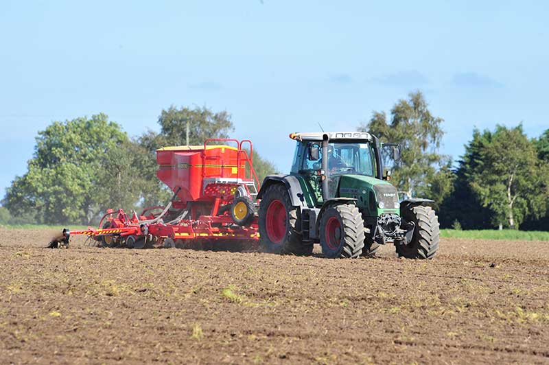 Key Factors for Successful Reseeding Grassland