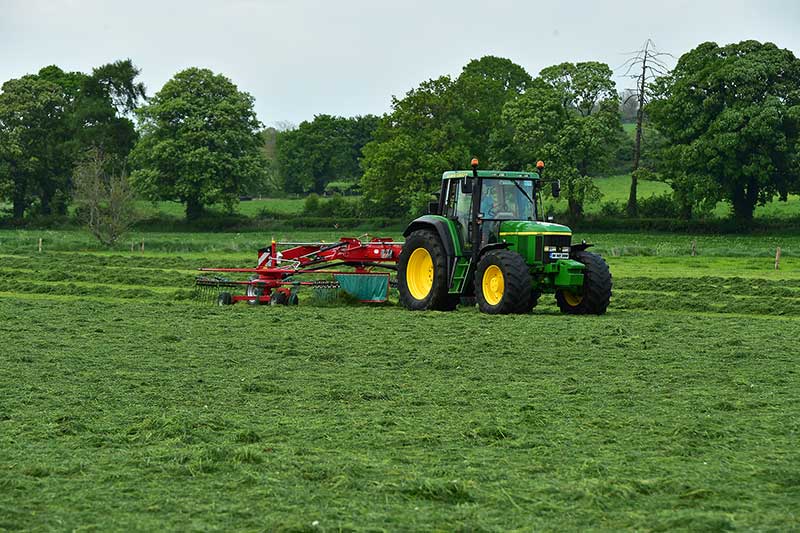 Understanding Soil Fertility and its Impact on Silage Yields