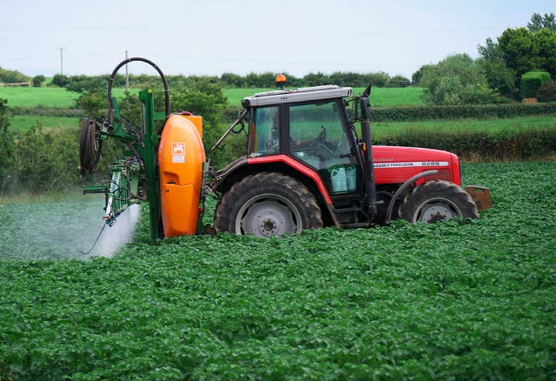 Strategies to Manage Sterile Brome in Winter Crops